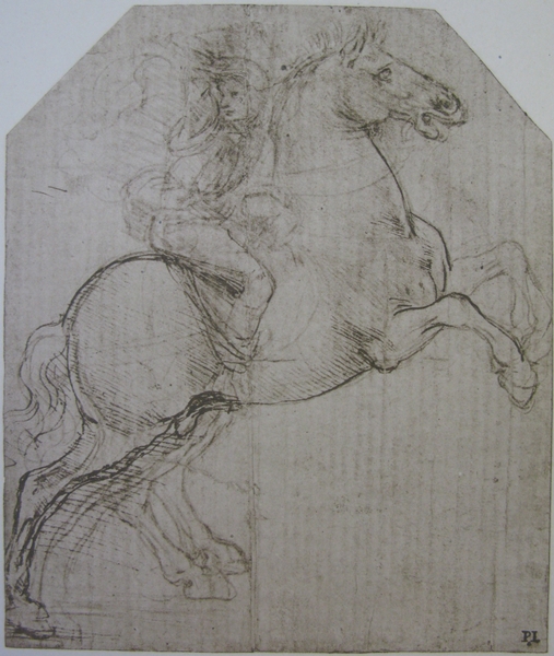 A Rider on a Galloping Horse